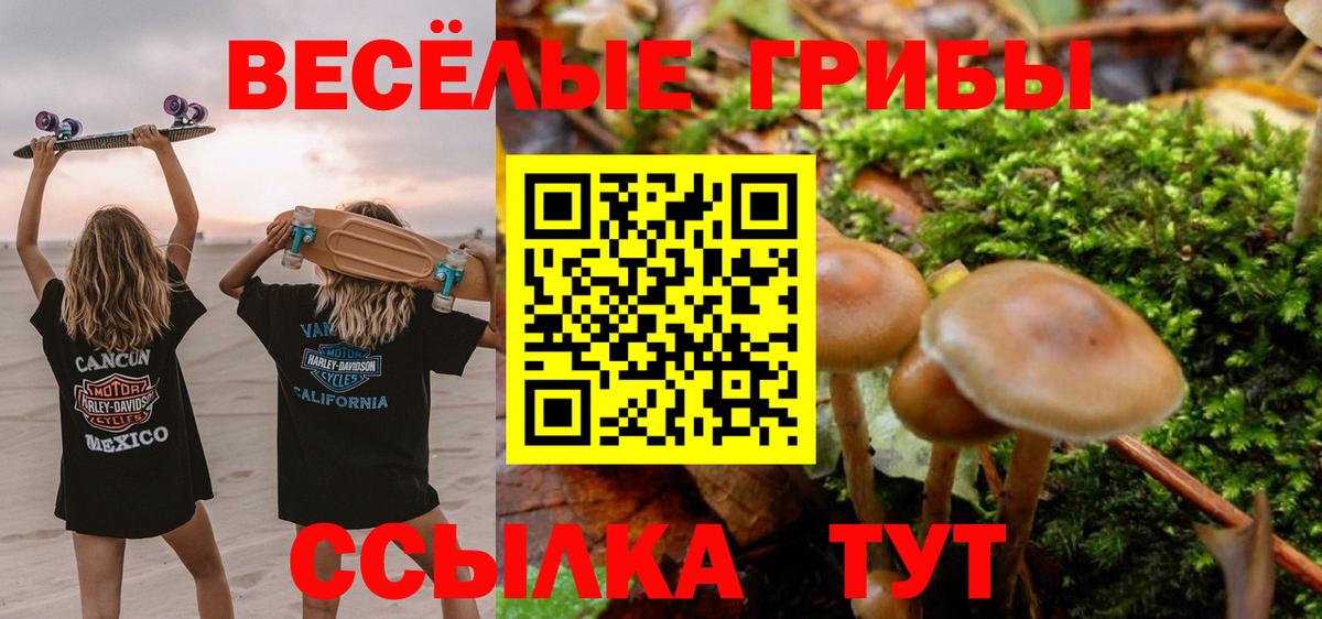 Галлюциногенные грибы мухоморы Искитим