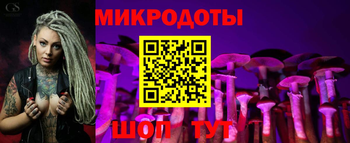 Галлюциногенные грибы Cubensis  Вход с VPN  Искитим 